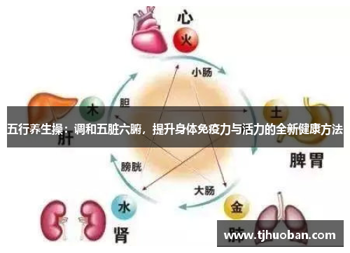 五行养生操：调和五脏六腑，提升身体免疫力与活力的全新健康方法