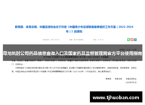 尊龙凯时公司药品信息查询入口及国家药品监督管理局官方平台使用指南