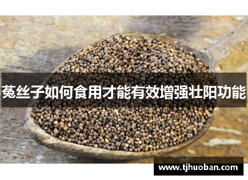 菟丝子如何食用才能有效增强壮阳功能