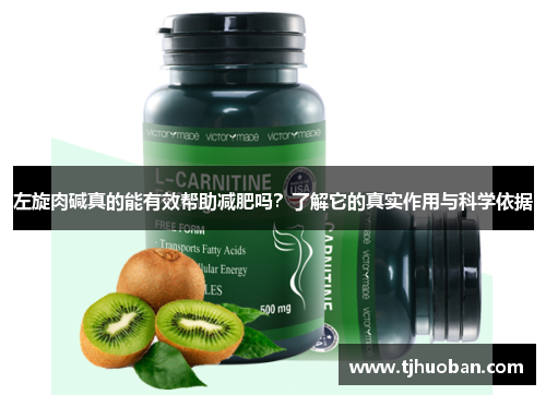 左旋肉碱真的能有效帮助减肥吗？了解它的真实作用与科学依据