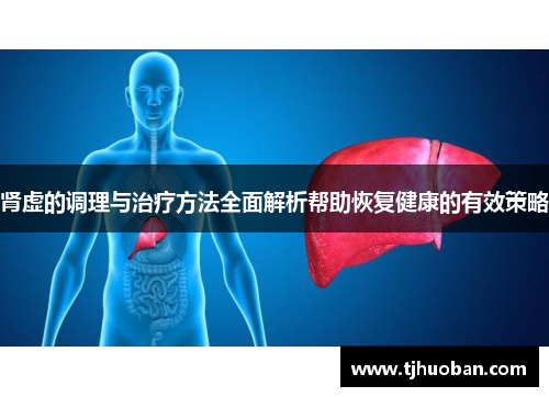 肾虚的调理与治疗方法全面解析帮助恢复健康的有效策略